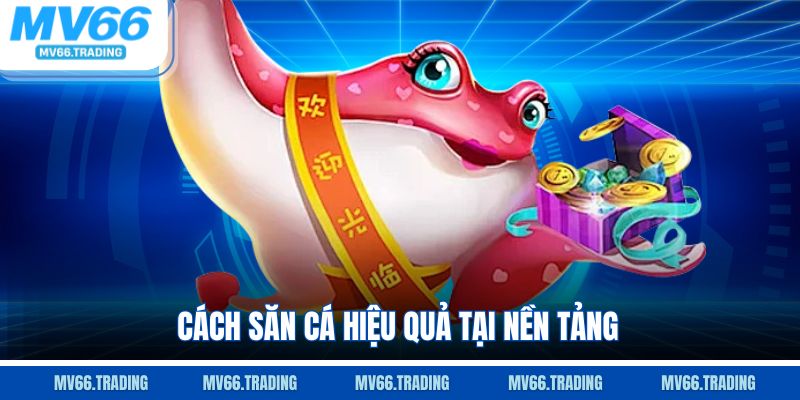 Cách săn cá hiệu quả tại nền tảng